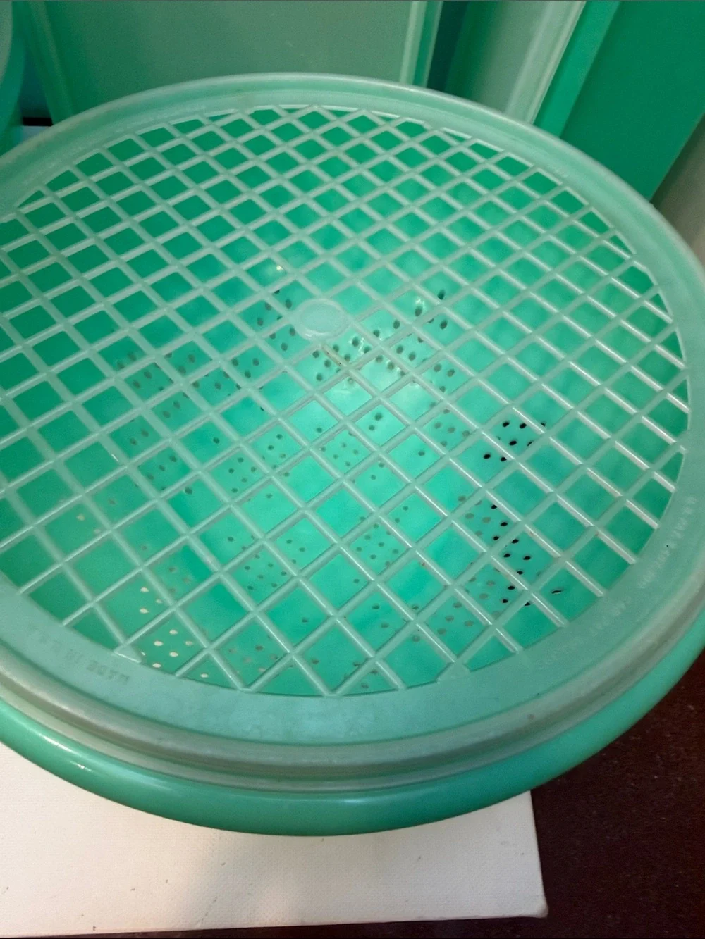 Tupperware Jadeite set of 6